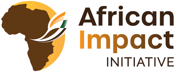 Africa Impact Initiative
